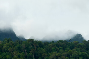 Clouds in the mountains of the rainforest of Langkawi, Malaysia