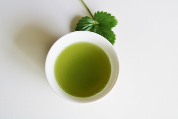 緑茶のおもてなし　日本茶　緑の葉