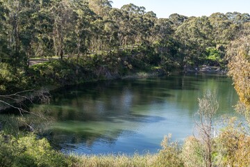 Blue lake in the forest