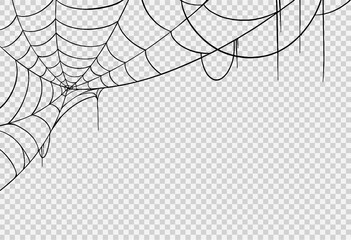 Halloween party background with spiderwebs isolated png or transparent texture,blank space for text,element template for poster,brochures, online advertising,vector illustration