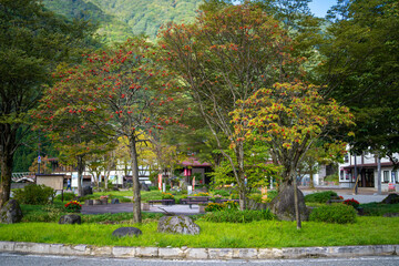 富山県立山町にある立山駅の紅葉の時期の風景 Scenery of Tateyama Station in Tateyama Town, Toyama Prefecture, during the fall foliage season.