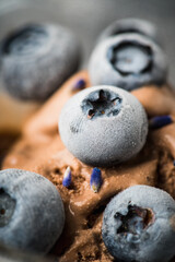 Macro shot of chocolate ice cream with blueberries and lavender flowers. Selective focus. Shallow depth of field.