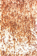 Rust old painted white sheet iron texture background.	