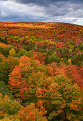 Lutsen Mountain, MN