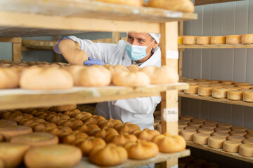 Focused man engaged in cheesemaking dressed in white uniform with cap, gloves and mask examining...