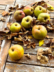 Organic garden apples on a wooden table with autumn leaves