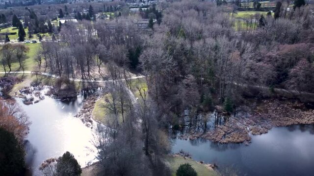 Sun reflecting on pond among tress at Jericho Beach park 