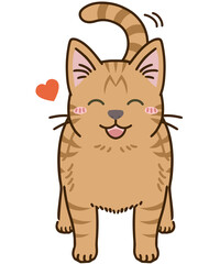 懐く猫（茶トラ）