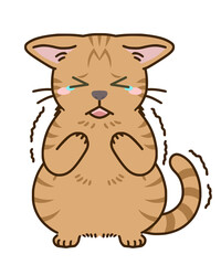 怯える猫（茶トラ）