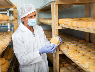 Professional cheese maker in white coat and protective face mask controlling maturing process of...