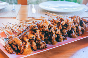 エスニック風焼き鳥　サテ