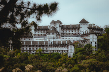 Old property by the forest