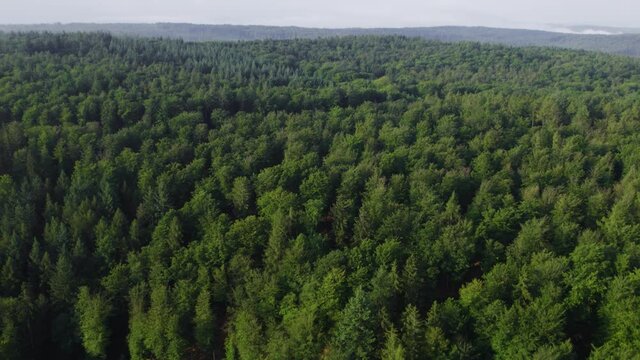 Scenic aerial drone 4K footage of the treetops from above of a huge forest in Germany. Weibersbrunn&acute;s tourism and nature concepts.