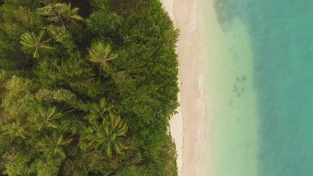 Aerial view of waves on island beach
