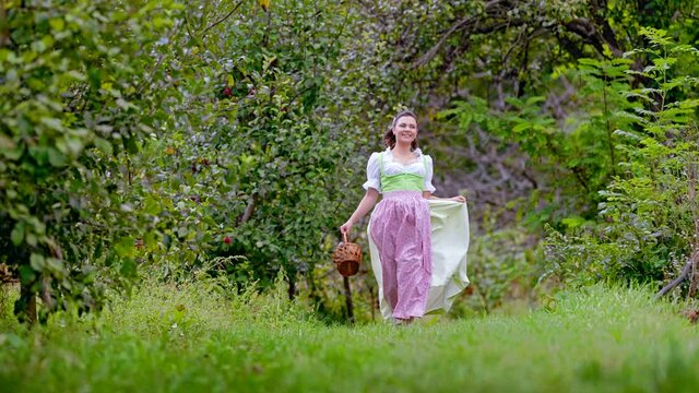Pretty woman in dirndl - traditional festival dress walks with basket in apple garden. Organic village lifestyle, agriculture, harvest, retro style concept.