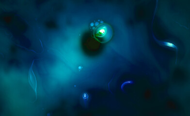 Abstract blurred gradient mesh background on dark blue colour. Ideal as wallpaper,banner,sale...