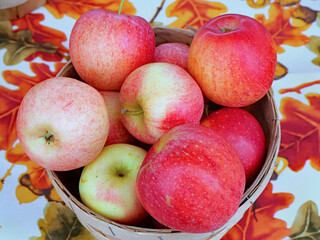 small basket of fresh apples on a colorful table cloth