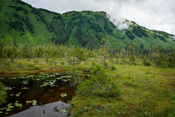 Fototapeta na wymiar Beautiful Alaska and all that it has to offer