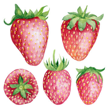 Watercolor strawberry clipart set. Hand drawn food illustration. Isolated clipart element on white background