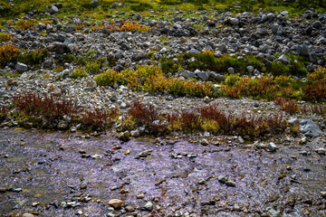 富山県立山町の立山の秋の紅葉の季節に登山している風景 Scenery of climbing Tateyama Mountain in Tateyama Town, Toyama Prefecture, Japan during the season of autumn leaves. 