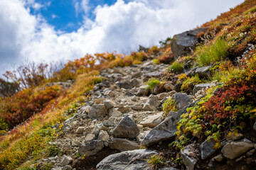 富山県立山町の立山の秋の紅葉の季節に登山している風景 Scenery of climbing Tateyama Mountain in Tateyama Town, Toyama Prefecture, Japan during the season of autumn leaves. 