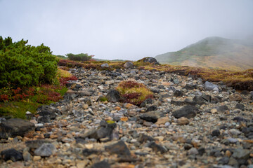 Obraz premium 富山県立山町の立山の秋の紅葉の季節に登山している風景 Scenery of climbing Tateyama Mountain in Tateyama Town, Toyama Prefecture, Japan during the season of autumn leaves. 