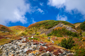 富山県立山町の立山の秋の紅葉の季節に登山している風景 Scenery of climbing Tateyama Mountain in Tateyama Town, Toyama Prefecture, Japan during the season of autumn leaves. 