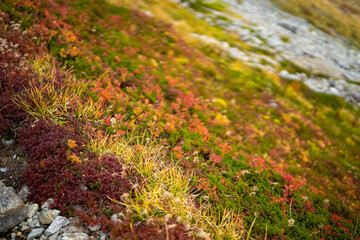 富山県立山町の立山の秋の紅葉の季節に登山している風景 Scenery of climbing Tateyama Mountain in Tateyama Town, Toyama Prefecture, Japan during the season of autumn leaves. 