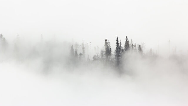 Free Mist Images – Browse 3,569 Free Stock Photos, Vectors, and Video ...