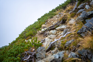富山県立山町の立山の秋の紅葉の季節に登山している風景 Scenery of climbing Tateyama Mountain in Tateyama Town, Toyama Prefecture, Japan during the season of autumn leaves. 