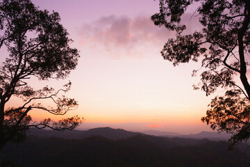 Purple or red or orange sky of sunrise or sunset with tree on mountain