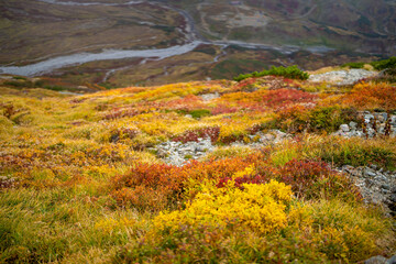 富山県立山町の立山の秋の紅葉の季節に登山している風景 Scenery of climbing Tateyama Mountain in Tateyama Town, Toyama Prefecture, Japan during the season of autumn leaves. 
