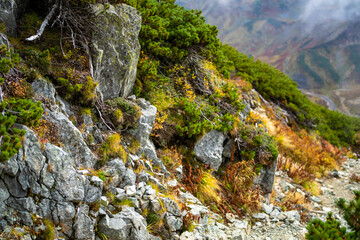 富山県立山町の立山の秋の紅葉の季節に登山している風景 Scenery of climbing Tateyama Mountain in Tateyama Town, Toyama Prefecture, Japan during the season of autumn leaves. 