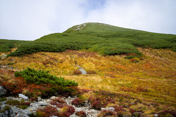 富山県立山町の立山の秋の紅葉の季節に登山している風景 Scenery of climbing Tateyama Mountain in Tateyama Town, Toyama Prefecture, Japan during the season of autumn leaves. 
