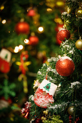 Close up shot of red and white fake snow decorated sock hanging decorating on green Christmas pine tree branch in front of blurred background in Xmas eve traditional festival celebration night event