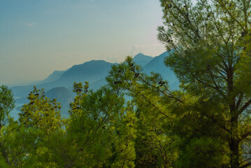 ANTALYA, TURKEY: Landscape with trees and mountain views near the Mediterranean Sea.