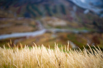 富山県立山町の立山の秋の紅葉の季節に登山している風景 Scenery of climbing Tateyama Mountain in Tateyama Town, Toyama Prefecture, Japan during the season of autumn leaves. 