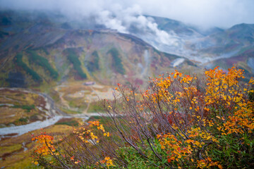 富山県立山町の立山の秋の紅葉の季節に登山している風景 Scenery of climbing Tateyama Mountain in Tateyama Town, Toyama Prefecture, Japan during the season of autumn leaves. 