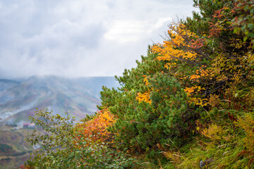 富山県立山町の立山の秋の紅葉の季節に登山している風景 Scenery of climbing Tateyama Mountain in Tateyama Town, Toyama Prefecture, Japan during the season of autumn leaves. 