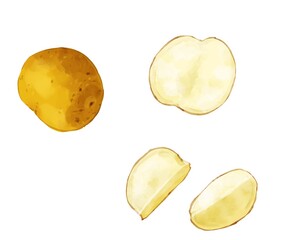 手描き水彩のじゃがいもイラストセット