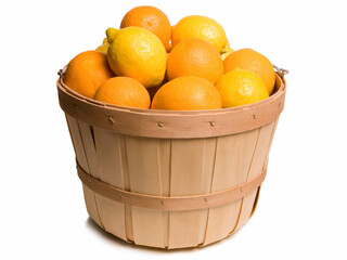 Citrus Basket