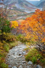 Fototapeta premium 富山県立山町の立山の秋の紅葉の季節に登山している風景 Scenery of climbing Tateyama Mountain in Tateyama Town, Toyama Prefecture, Japan during the season of autumn leaves. 