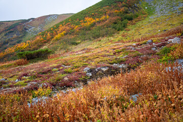 富山県立山町の立山の秋の紅葉の季節に登山している風景 Scenery of climbing Tateyama Mountain in Tateyama Town, Toyama Prefecture, Japan during the season of autumn leaves. 