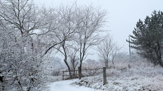 Snowing in Japan  -  雪　八ヶ岳山麓　ハイスピード動画　240P