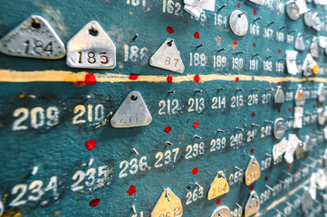Aluminum miner identification tags hang from a wooden board