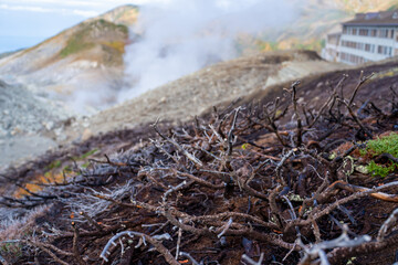 富山県立山町の立山の秋の紅葉の季節に登山している風景 Scenery of climbing Tateyama Mountain in Tateyama Town, Toyama Prefecture, Japan during the season of autumn leaves. 
