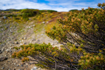 富山県立山町の立山の秋の紅葉の季節に登山している風景 Scenery of climbing Tateyama Mountain in Tateyama Town, Toyama Prefecture, Japan during the season of autumn leaves. 