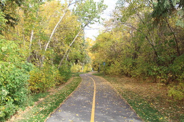 Fototapeta na wymiar Autumns Path, Gold Bar Park, Edmonton, Alberta