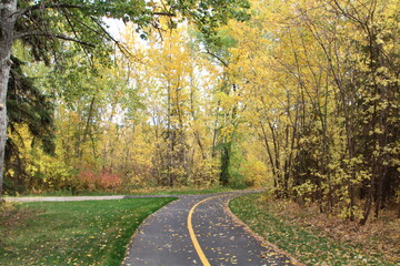 Fall On The Trail, Gold Bar Park, Edmonton, Alberta