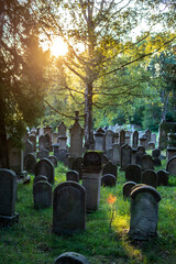 Old Jewish cemetery with graves and trees in the sunset